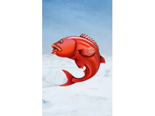 Ice Fishing — Evolution